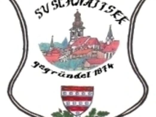 Sponser des Schützenvereins Schnaitsee bei Elektro Randlinger GmbH in Schnaitsee