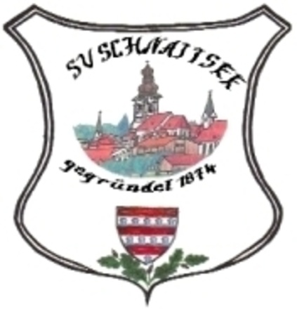Sponser des Schützenvereins Schnaitsee bei Elektro Randlinger GmbH in Schnaitsee
