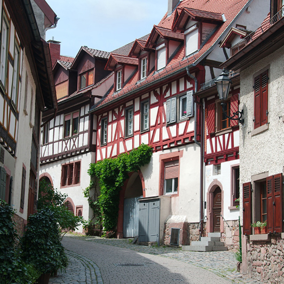 Altbau­sanierung bei Elektro Randlinger GmbH in Schnaitsee